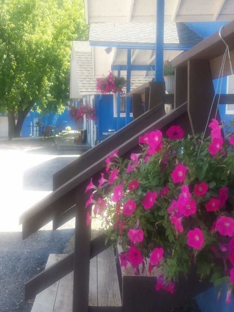 The Brookside Motel / Mt. Rushmore คีย์สโตน ภายนอก รูปภาพ